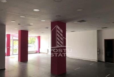 Spatiu Comercial 130mp Zona Circumvalatiunii - 4
