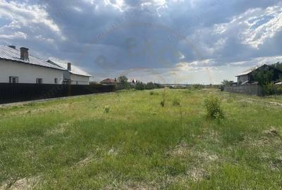 Teren de 3474 mp, în Bradu - 3