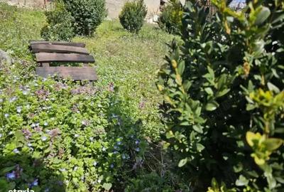 Casa de vanzare in comuna Botesti, Arges - 2