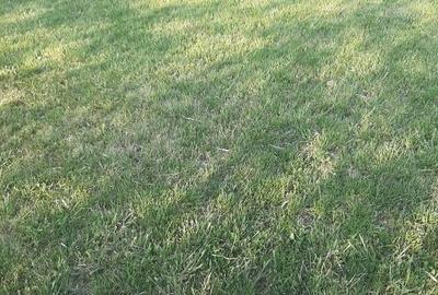 Teren intravilan 2000mp - 1