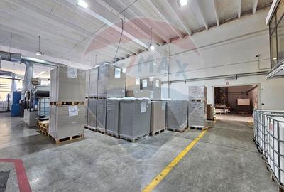 Spațiu industrial, de 5,000 mp, în Gară - 4