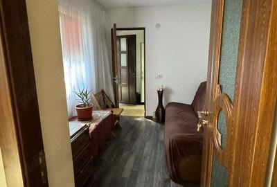 Casa la curte de vanzare - 3