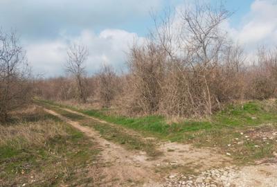 Teren Construcții intravilan de 600 mp, în Est - 2
