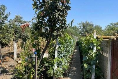 Casă cu 3 camere cu Teren 2498 Mp în Amărăști - 2