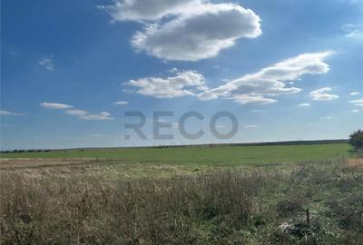 RECO Oportunitate teren 25000mp Santandrei - 1