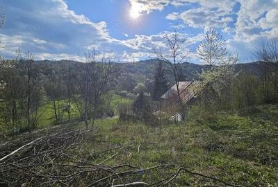 Teren în Brebu - 17