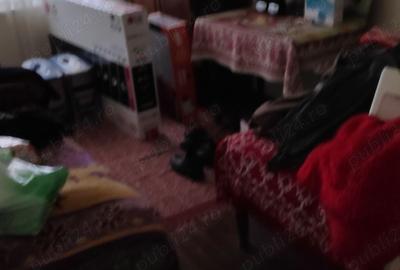 Casă cu 5 camere cu Teren 147 Mp în Gruia - 5