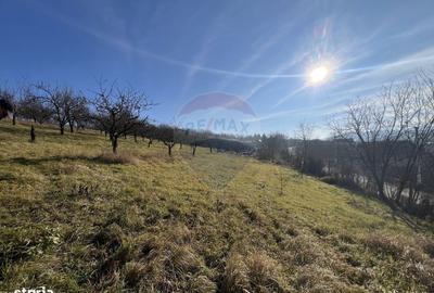 Teren de 10000 mp, în Moldovenești - 6