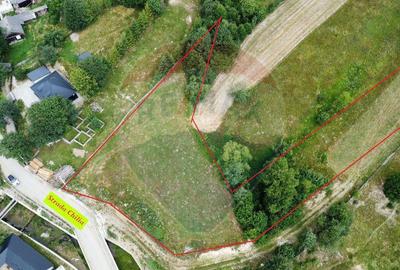 Teren 4397 mp Intravilan Manastirea Humorului / Lunga Buc... - 1