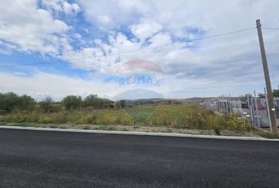 De vanzare teren industrial cu PUZ aprobat - 3