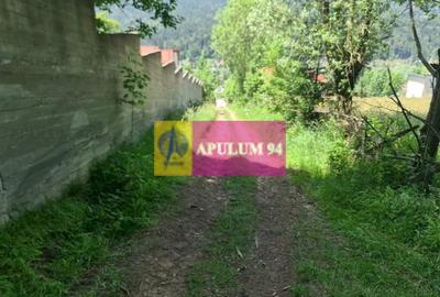 Teren de vânzare în Bușteni - Zona Zamora - 10