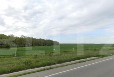 Teren extravilan, 8,7 ha, deschidere E79, zona Podari - 1