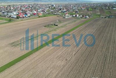 Teren de 10500 mp, în Nicolae Bălcescu - 13