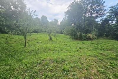 Teren intravilan de vânzare – 2.190 mp – Podu Vadului, Breaza - 2
