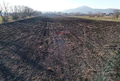 Teren agricol extravilan de 6655 mp, în Hărman - 8