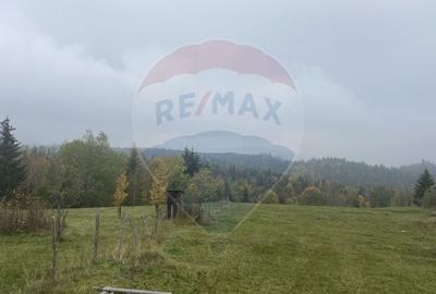 Teren Construcții intravilan de 8119 mp, în Călățele - 11