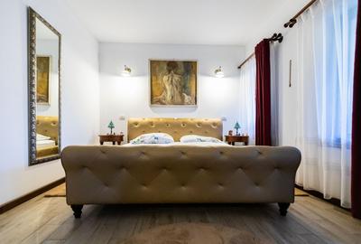 Refugiul Perfect de Lângă Timișoara - 41