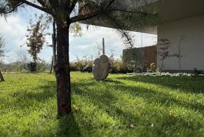 Apartament cu 3 camere decomandat în Străulești - 15