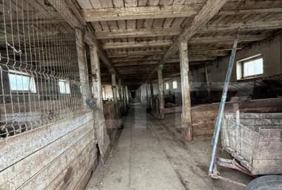 Ferma de Vanzare in judetul Timis, la nord est de Timisoara, - 23
