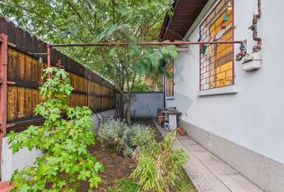 Casa artistica  cu 3 camere de inchiriat in zona Drumul Sarii/Razoare - 7
