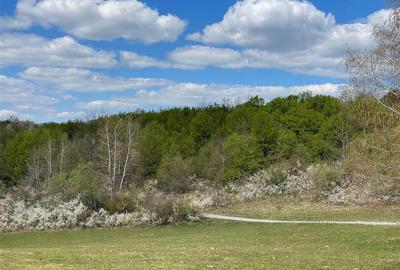 Teren extravilan de 103000 mp, în Bălnaca-Groși - 3
