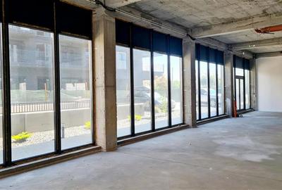 Spațiu comercial, de 257 mp, în Torontalului - 5