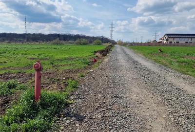 Ideal lotizare-Giarmata Vii- Ghiroda - 5