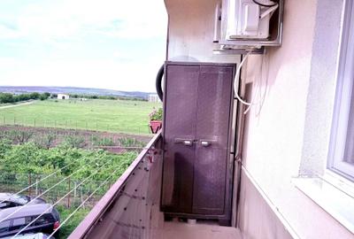 Apartament cu 2 camere semidecomandat în Turnișor - 2