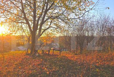 Teren cu vedere panoramica, 32 m deschidere la strada - 6