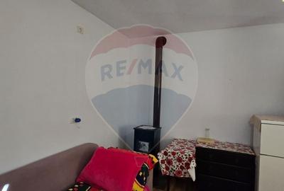 Casa la gri P+M cu anexa - oportunitate unica in Chisineu-Cris! - 13