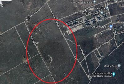 Teren Sisesti Piscu Reghiului 2500 mp New 2025 - 2