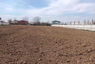 Teren de 2414 mp, în Afumați - 4