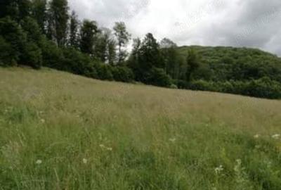 Teren de 10700 mp, în Câmpu Cetății - 1