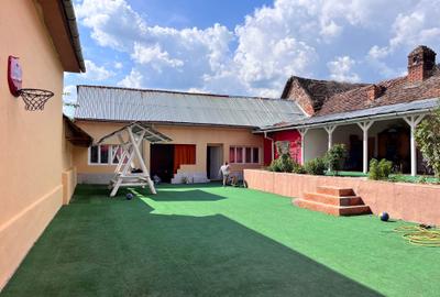 Casă cu 5 camere în Borlovenii Noi - 5