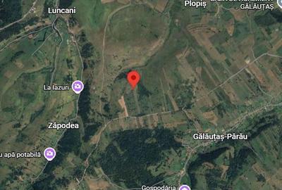 Teren de 6884 mp, în Sărmaș - 4