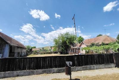 Casă cu 3 camere cu Teren 2240 Mp în Raciu - 11