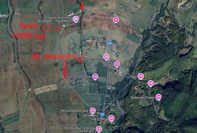 Teren agricol extravilan de 14800 mp, în Glăjărie - 2