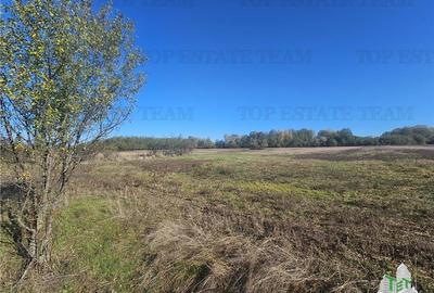 SUPER-PRET Teren 1ha intravilan intre A0, padure si raul Sabar - 4