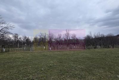 Spațiu comercial, în Șotrile - 4