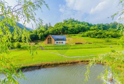 Casă cu 7 camere cu Teren 6370 Mp în Groși - 15