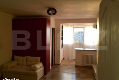 Garsonieră, mobilată în Brazda lui Novac - 3