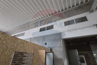 DE VANZARE Hala productie/depozitare - 21