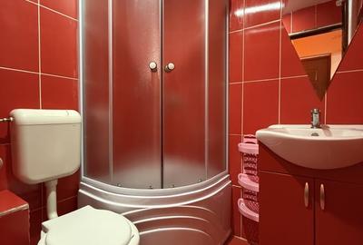 Garsonieră decomandată în Take Ionescu - 4