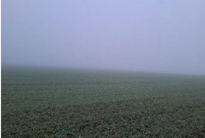 Teren de 4040 mp, în Troianul - 3