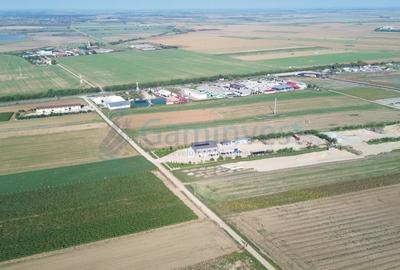 Gaminvest Teren intravilan de vanzare, 66400 mp, langa Oradea, Bihor ,V4117 - 9