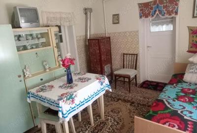 Casă cu 3 camere în Icland - 3