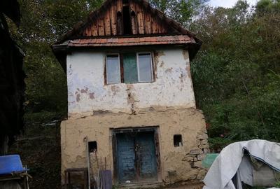 Teren de 11650 mp, în Valea Borcutului