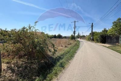 OPORTUNITATE! - Teren intravilan 2800mp sat Pasarea com Branesti ILFOV - 3