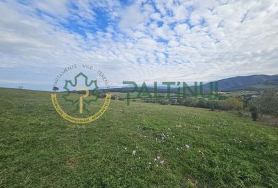 Teren de vanzare ,Tocile, Sibiu, case de vacanta si locuinte - 9