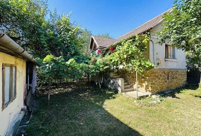 Casă cu 2 camere cu Teren 719 Mp în Dognecea - 10